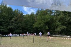 IMG_8843_